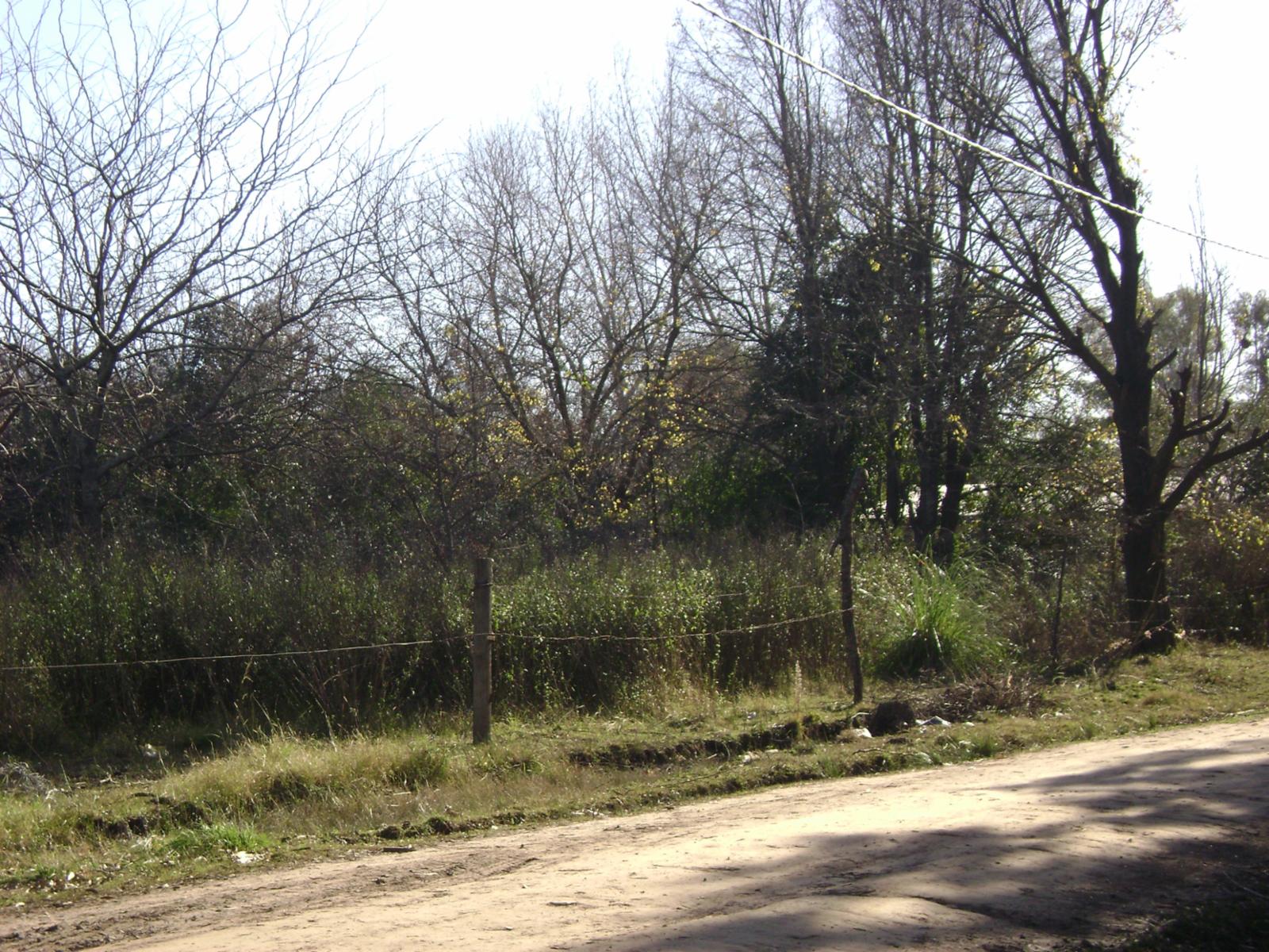 GENERAL RODRIGUEZ - BARRIO YOLI · General Rodriguez — foto 5
