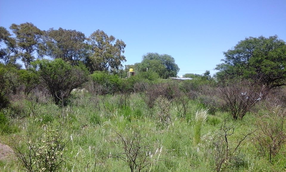 Ruta 3 · Belgrano — foto 4