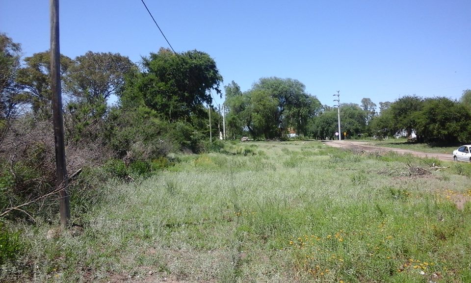Ruta 3 · Belgrano — foto 5