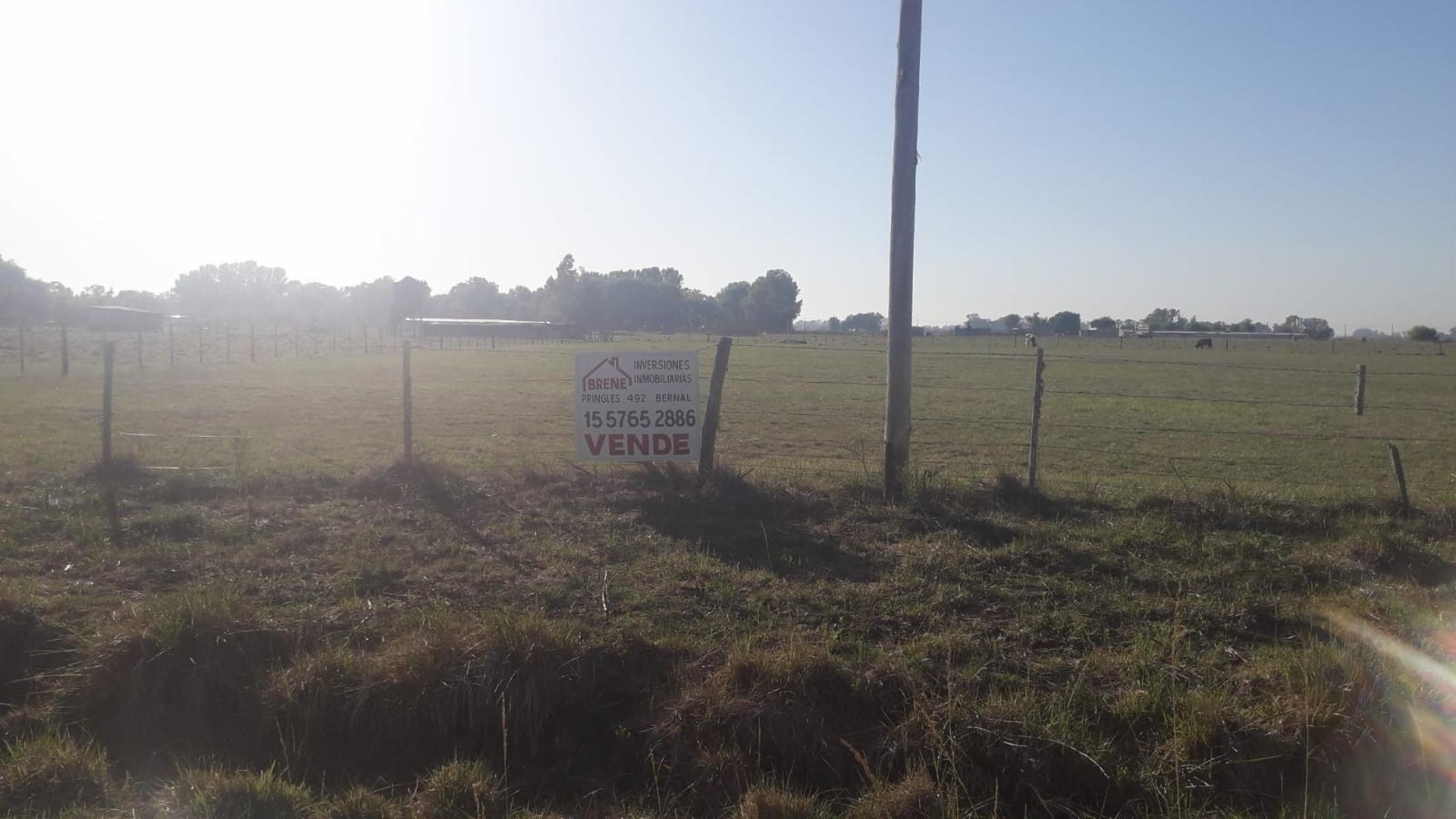 ruta 205 · Cañuelas — foto 3