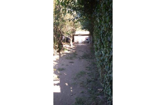 ARGUERO AL 4500 · San Miguel — foto 4