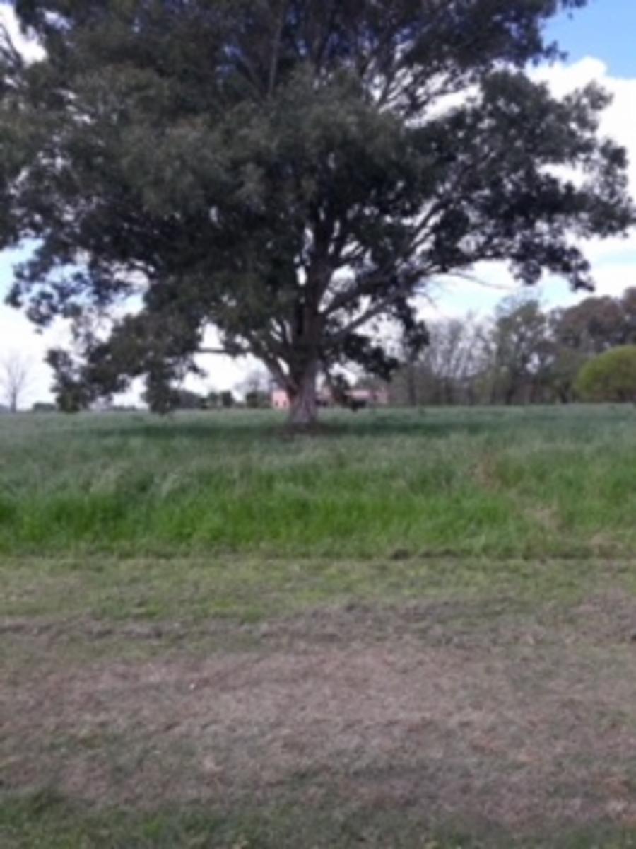 Acc Oeste, Km 72. · Luján — foto 12