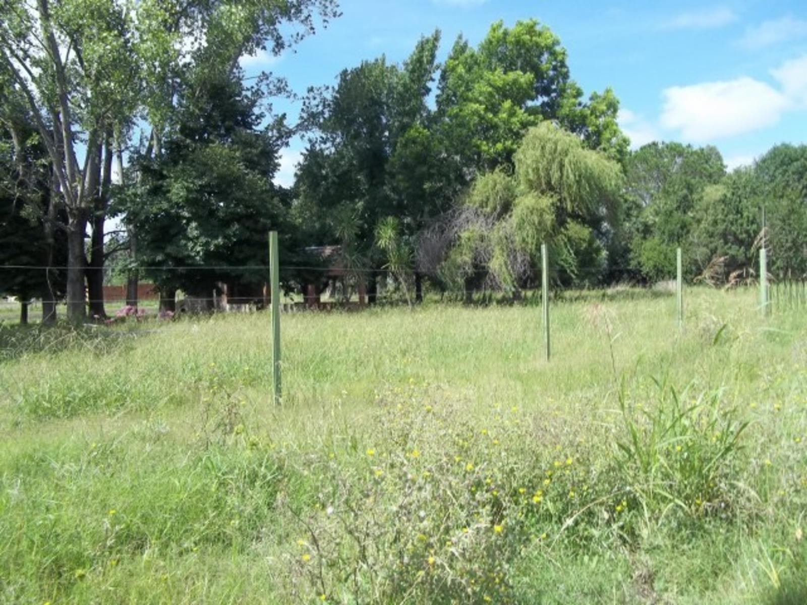 AVDA CORRIENTES · General Rodriguez — foto 4