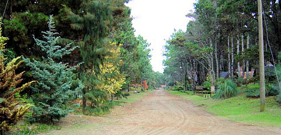 Terreno  Unico por su ubicacion 675 m2 arbolado,1 cuadra del mar Costa del Este