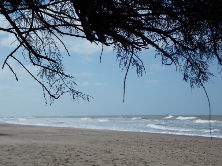Las Amapolas · La Costa — foto 3