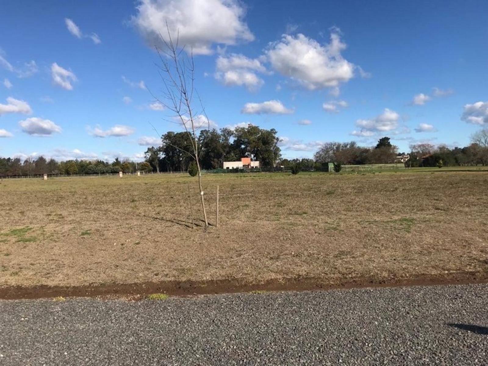 EL CAMPO FINCAS EXCLUSIVAS CARDALES · Exaltacion De La Cruz — foto 5
