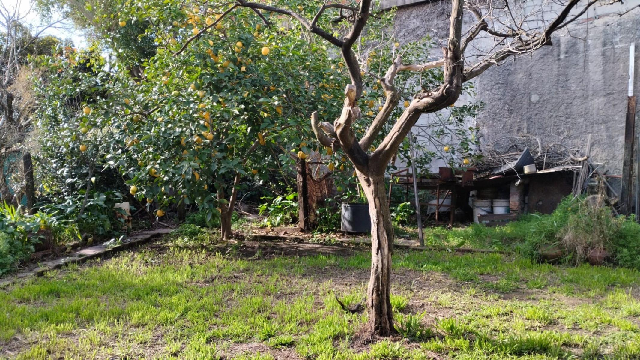 CASERIOS DE PERDRIEL 5221 · San Martín — foto 7