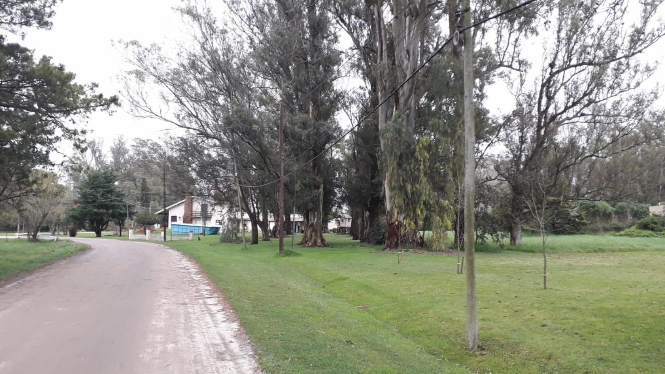 RUTA 2 KM 383 · Mar Chiquita — foto 4