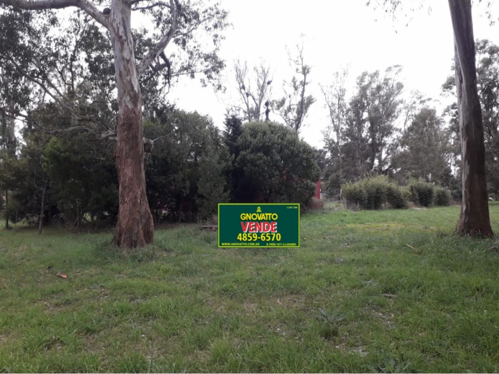RUTA 2 KM 383 · Mar Chiquita — foto 6