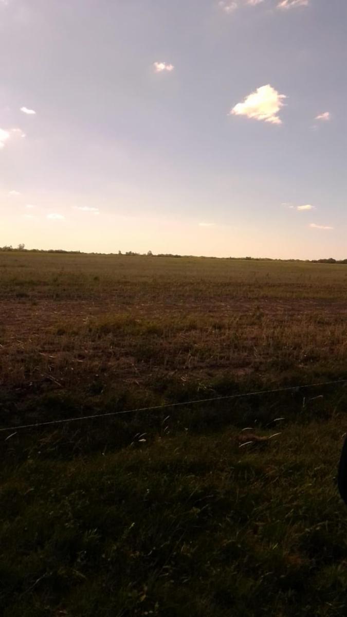 Viale sobre Autovía 18 · Paraná — foto 3