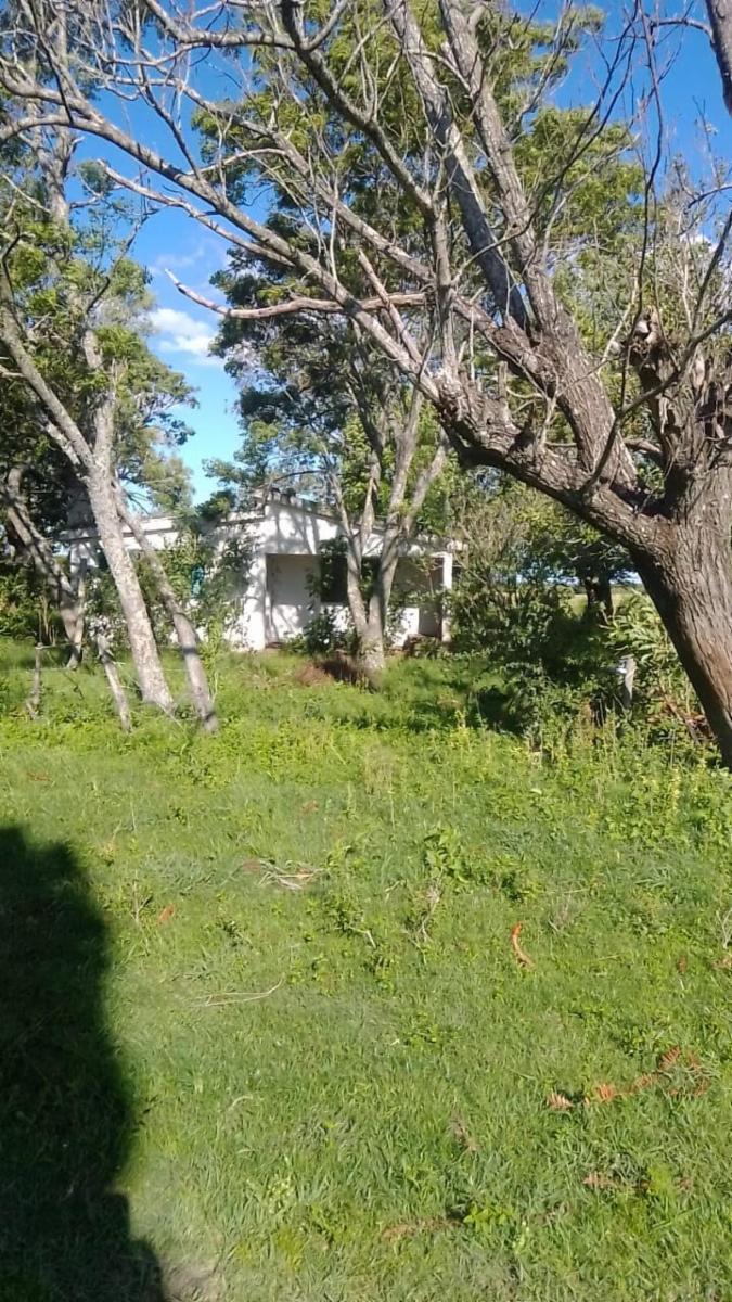 Viale sobre Autovía 18 · Paraná — foto 4