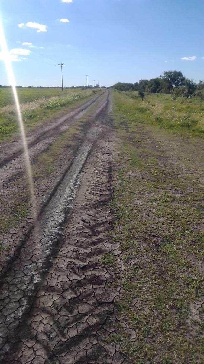 Viale sobre Autovía 18 · Paraná — foto 5