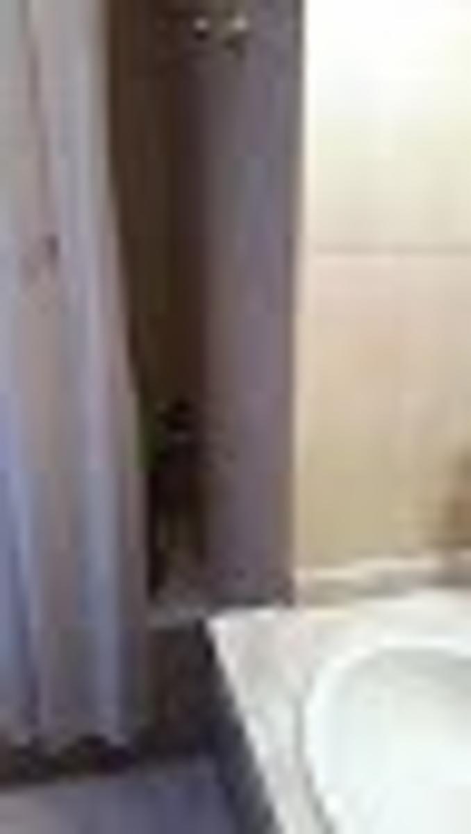 Godoy Cruz 2900 · Palermo — foto 9