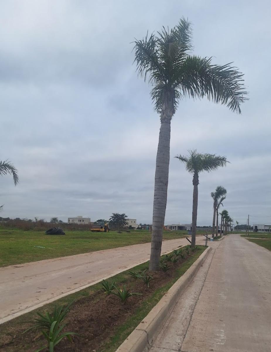 Lagos de canning 2 · Esteban Echeverría — foto 6