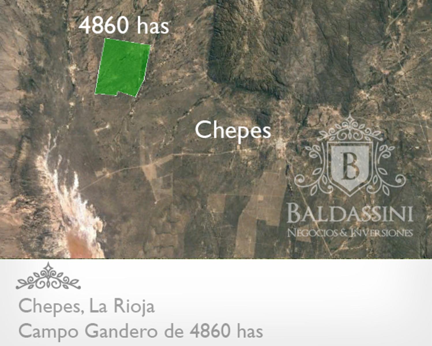 CAMPO GANADERO EN CHEPES DE 4860 HAS. OPORTUNIDAD! u$s150.- x ha