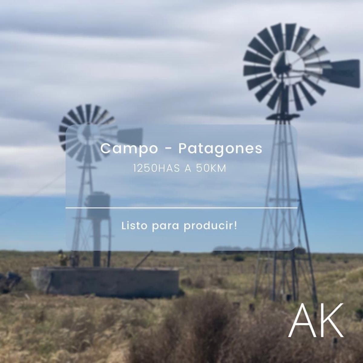 SE VENDE CAMPO 1250has - PATAGONES
