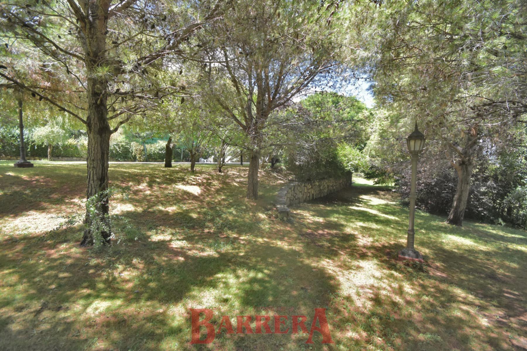 Pinos Este s/n · Junín — foto 8