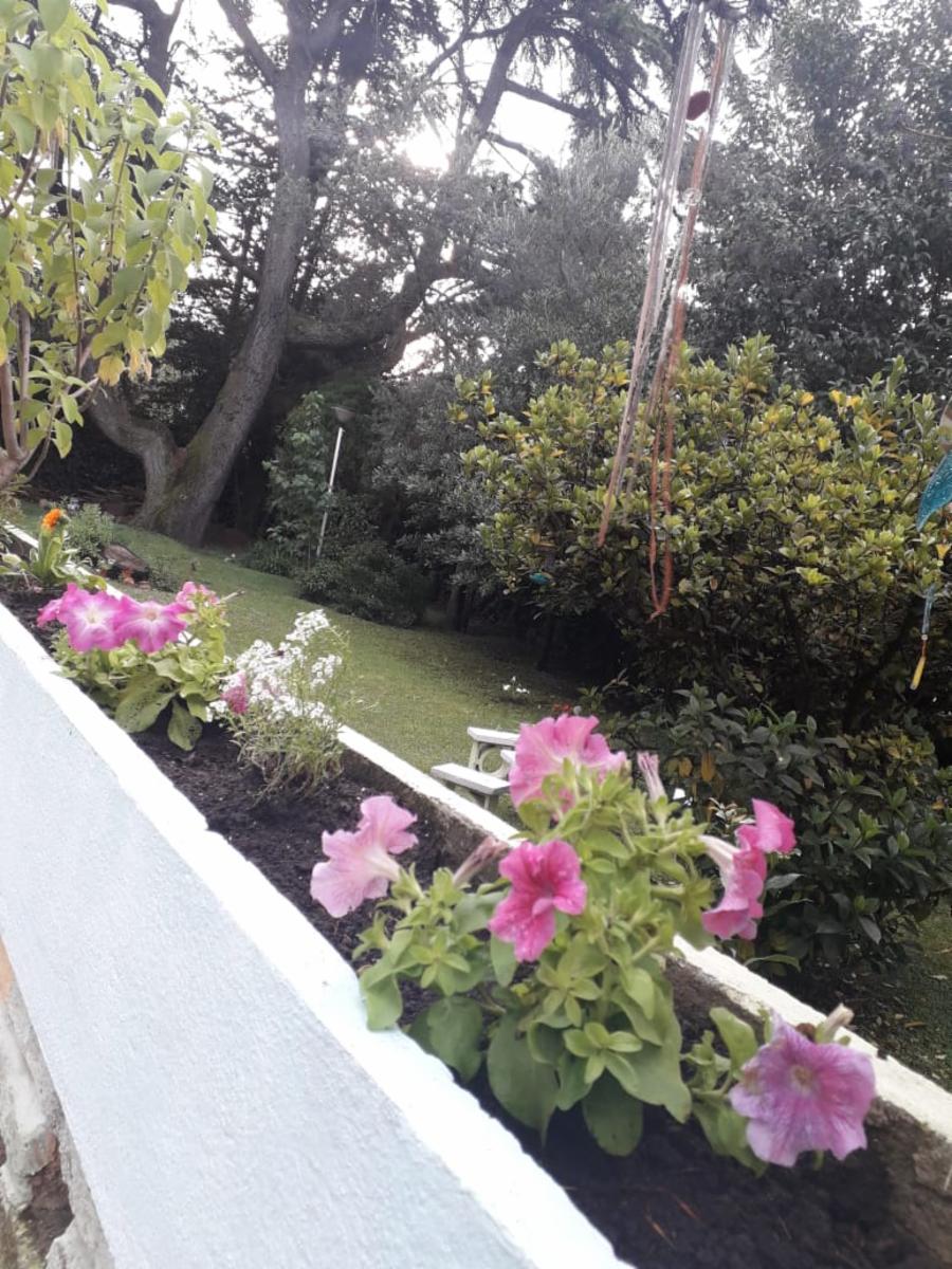 Calle 304A 2135 · Berazategui — foto 15