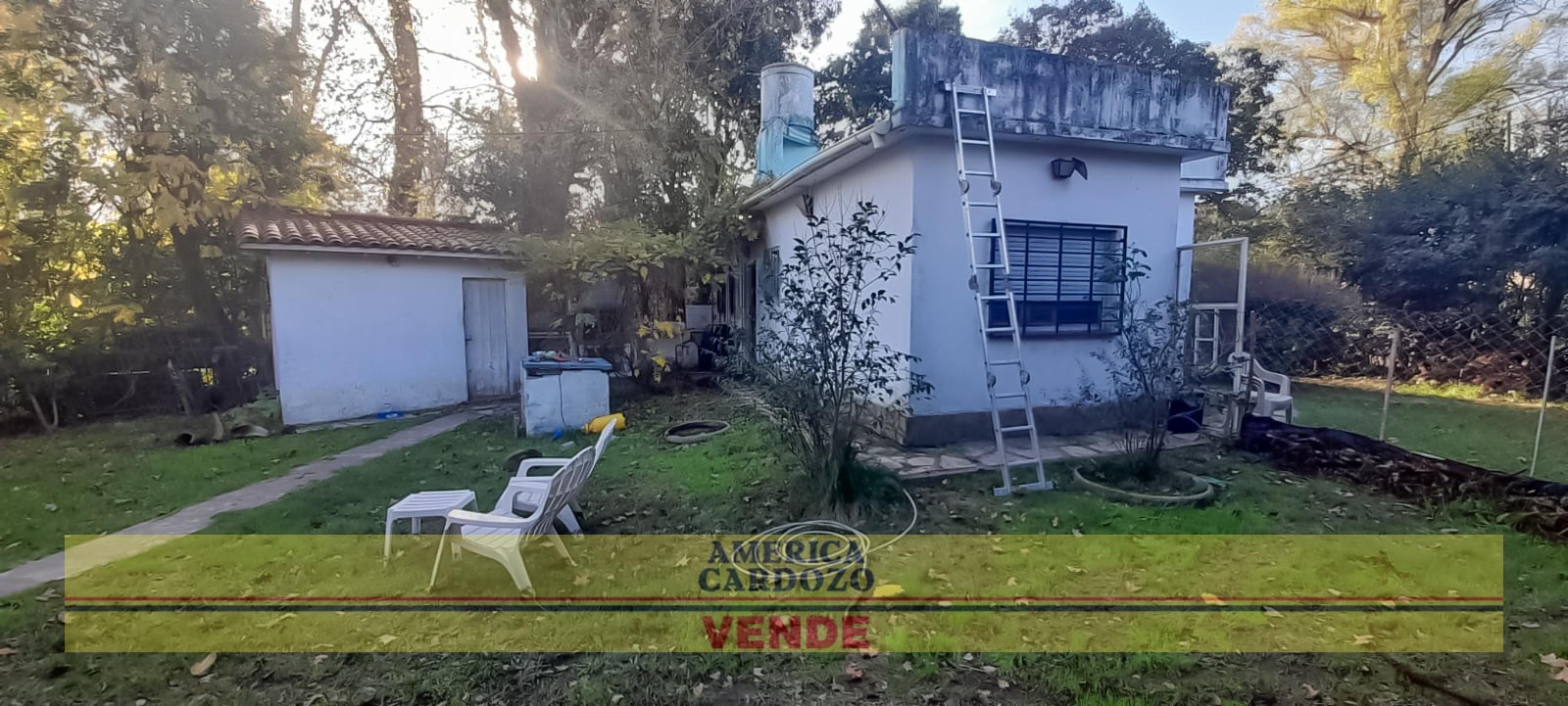 REMBRANDT 402 · Moreno — foto 4