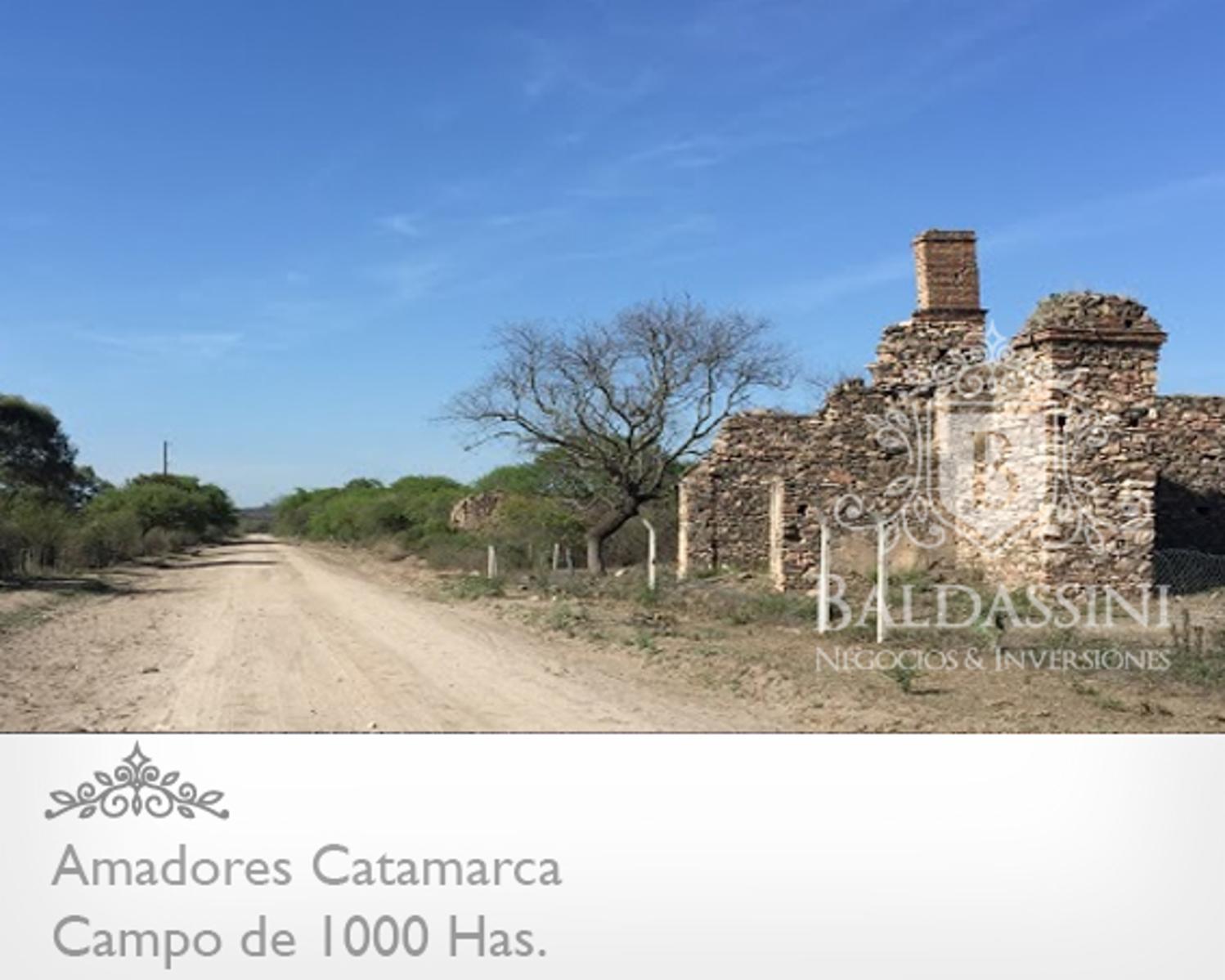 CAMPO DE 1000 HAS. EN AMADORES, CATAMARCA - IDEAL PARA EMPRESA DE ENERGÍA ELÉCTRICA.