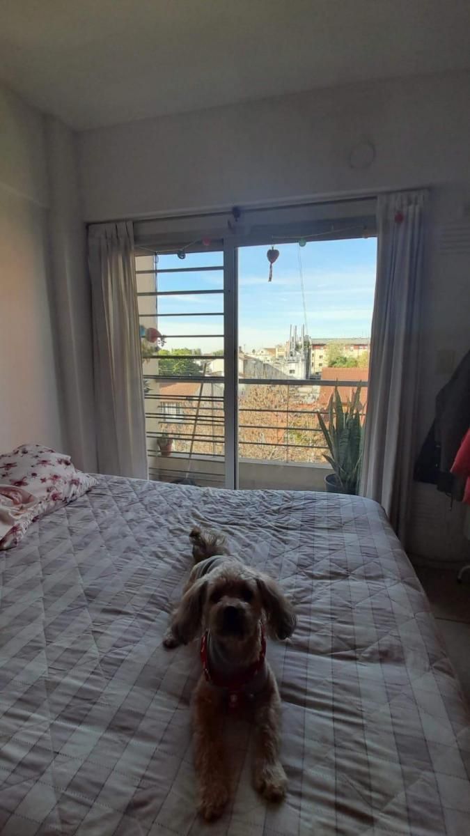 YATAY 857 · Morón — foto 4
