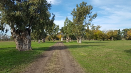 Lotes en barrio privado Saint Joseph