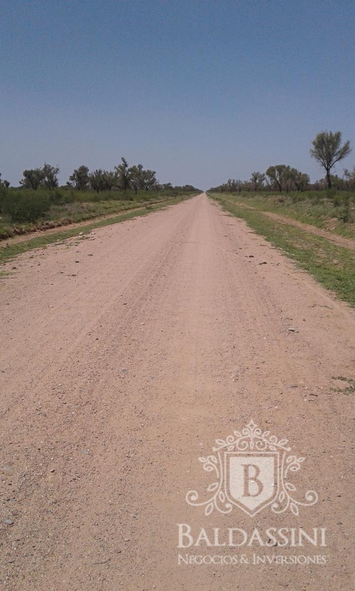 El Chañar - La Rioja · Chamical — foto 11