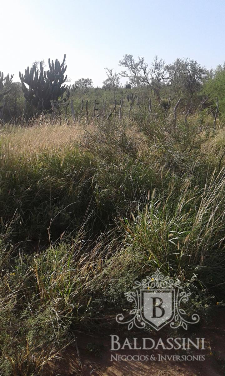 El Chañar - La Rioja · Chamical — foto 4