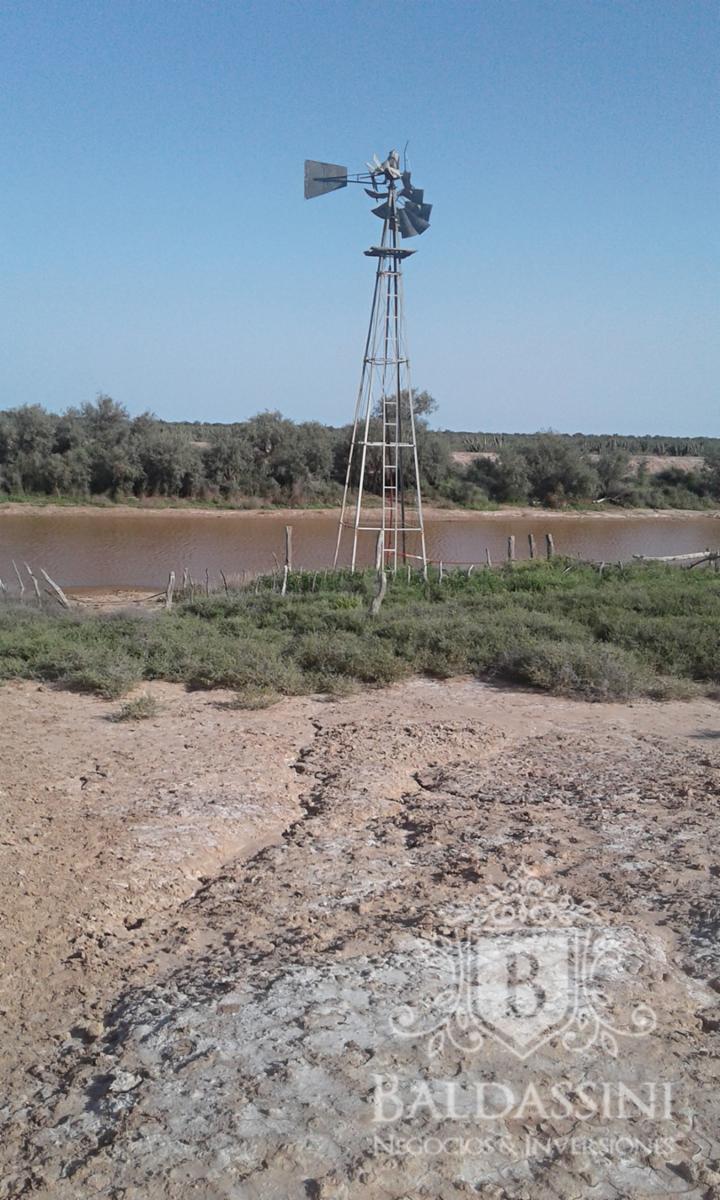 El Chañar - La Rioja · Chamical — foto 5