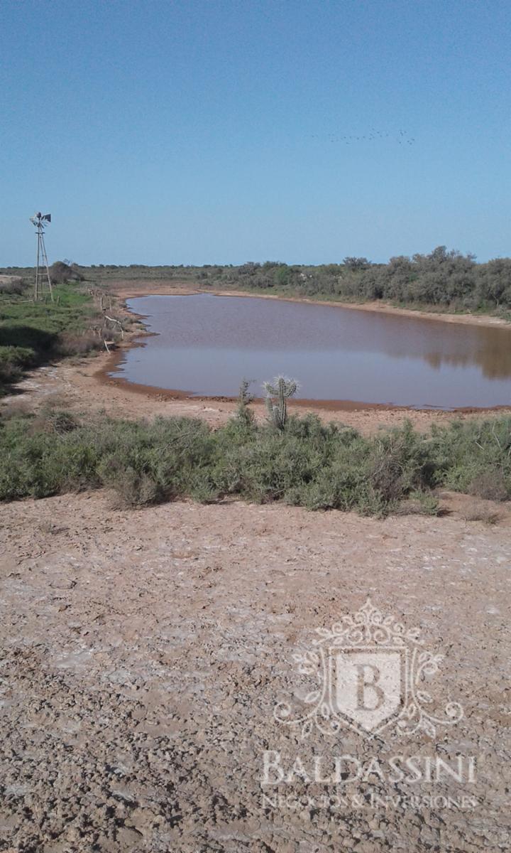 El Chañar - La Rioja · Chamical — foto 7