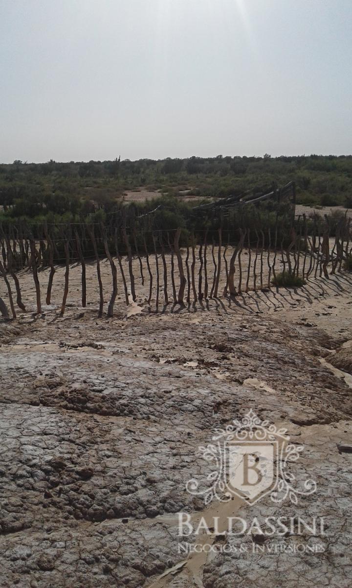 El Chañar - La Rioja · Chamical — foto 8