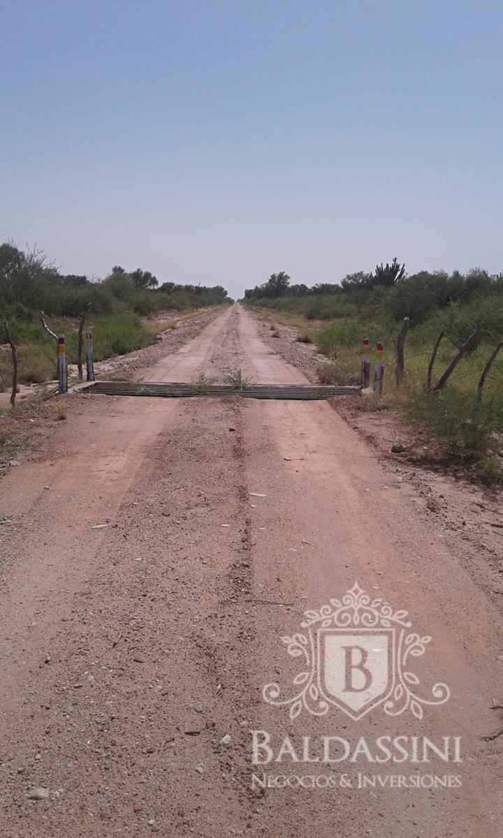 El Chañar - La Rioja · Chamical — foto 10