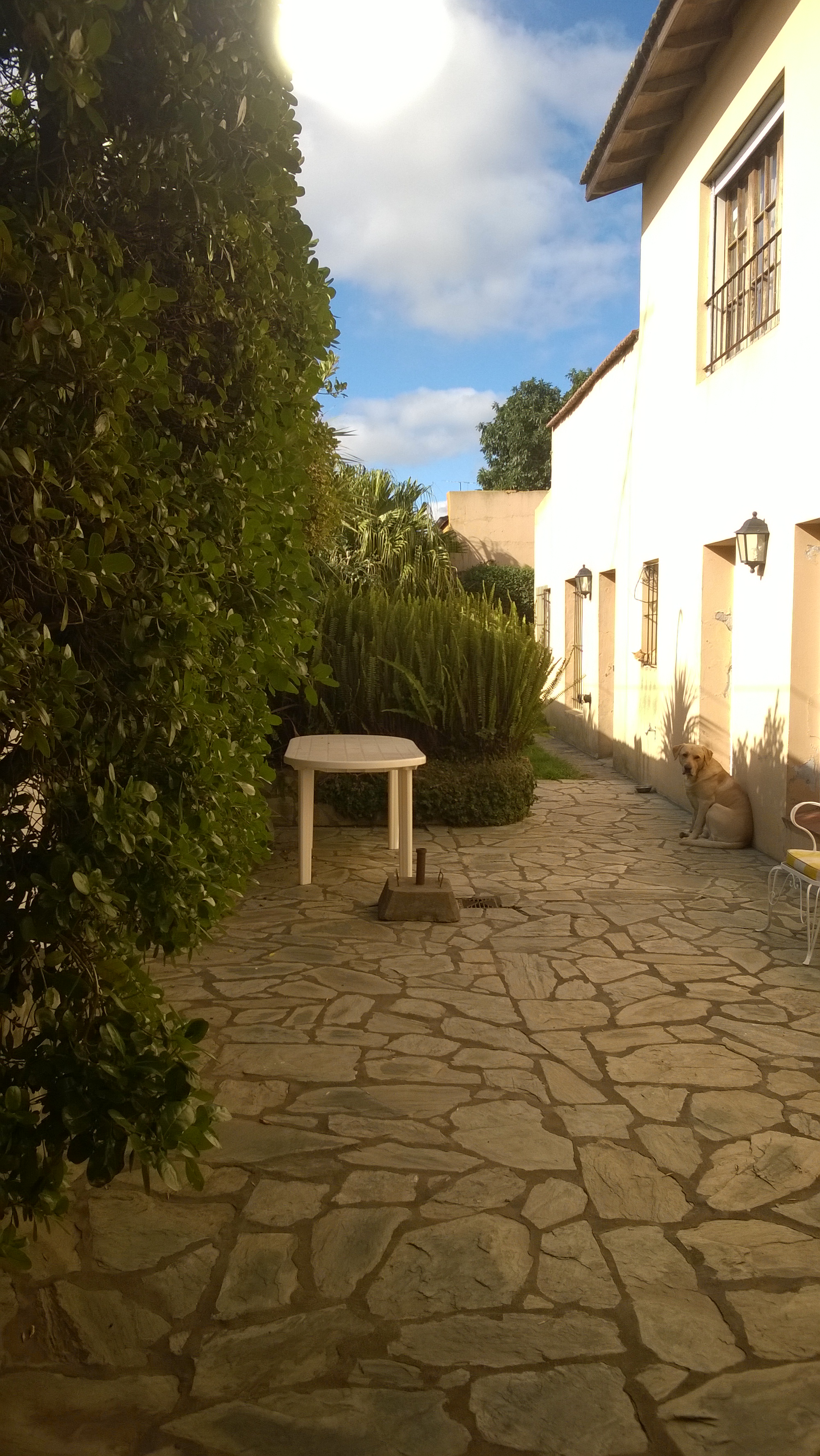 20 Nº 483 · Balcarce — foto 23