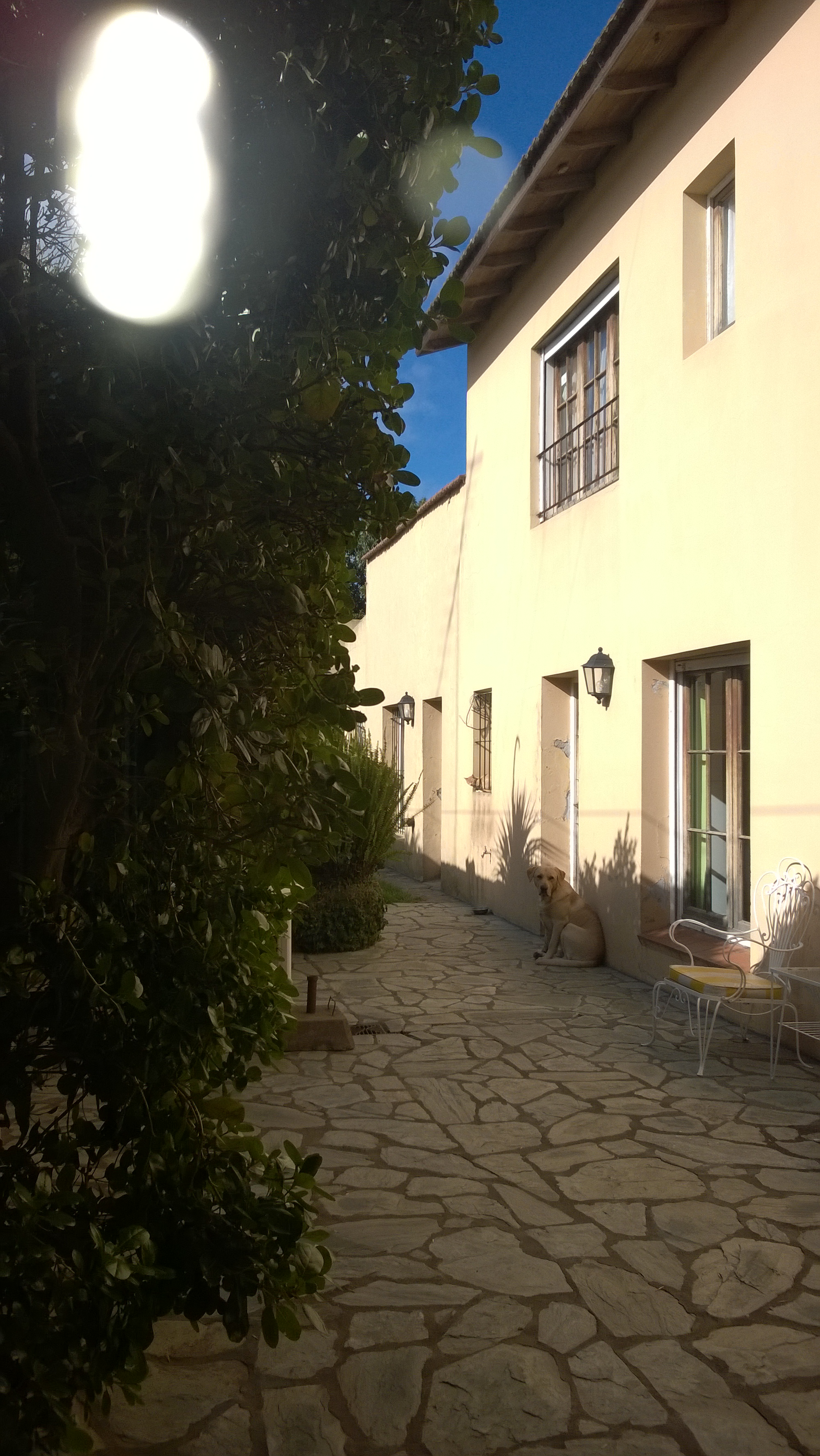 20 Nº 483 · Balcarce — foto 24