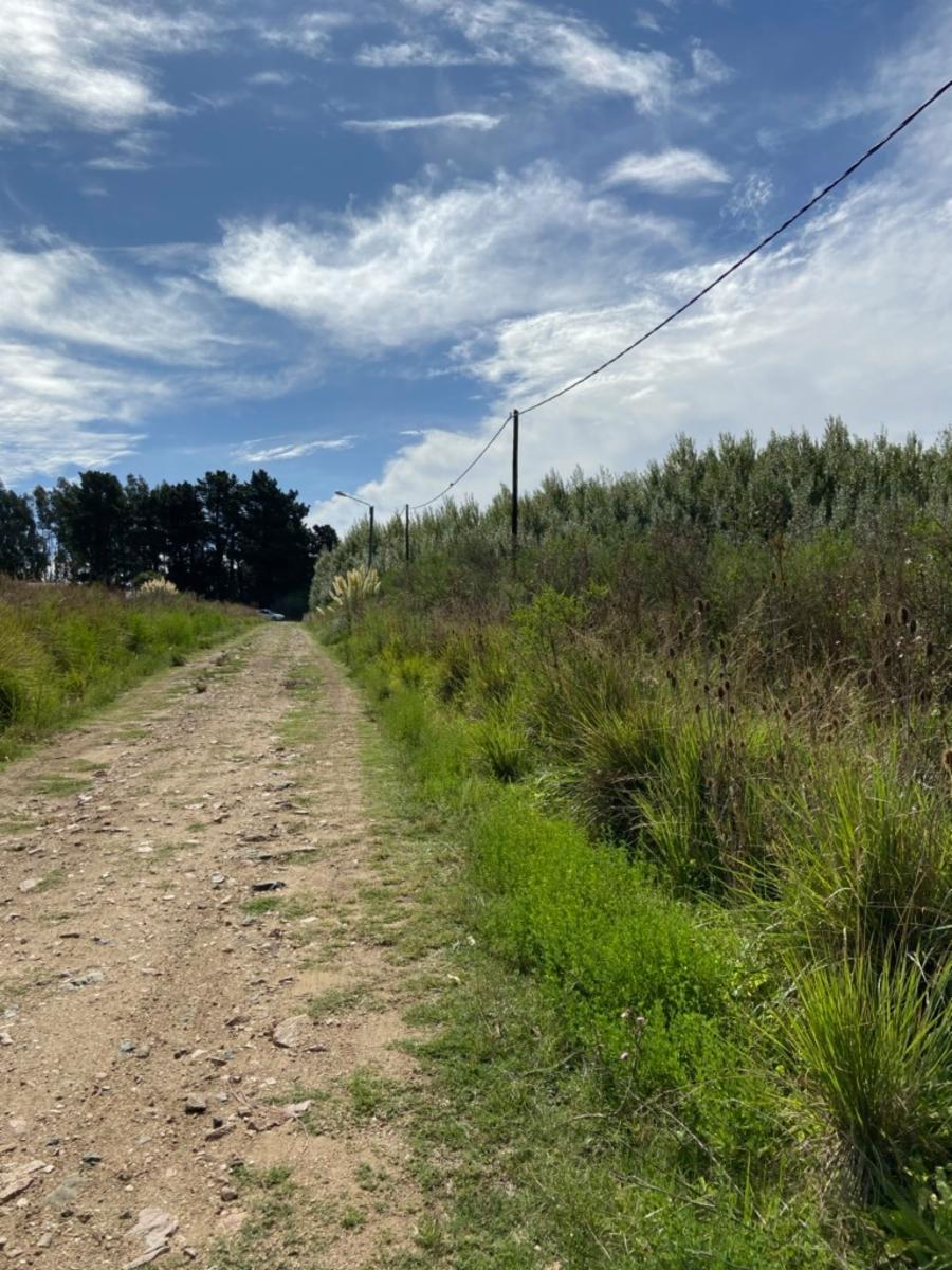 juan b. justo · Tandil — foto 3