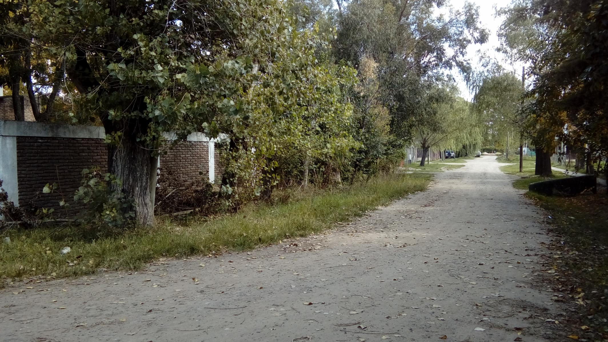 Atenas y Lisboa · San Vicente — foto 15