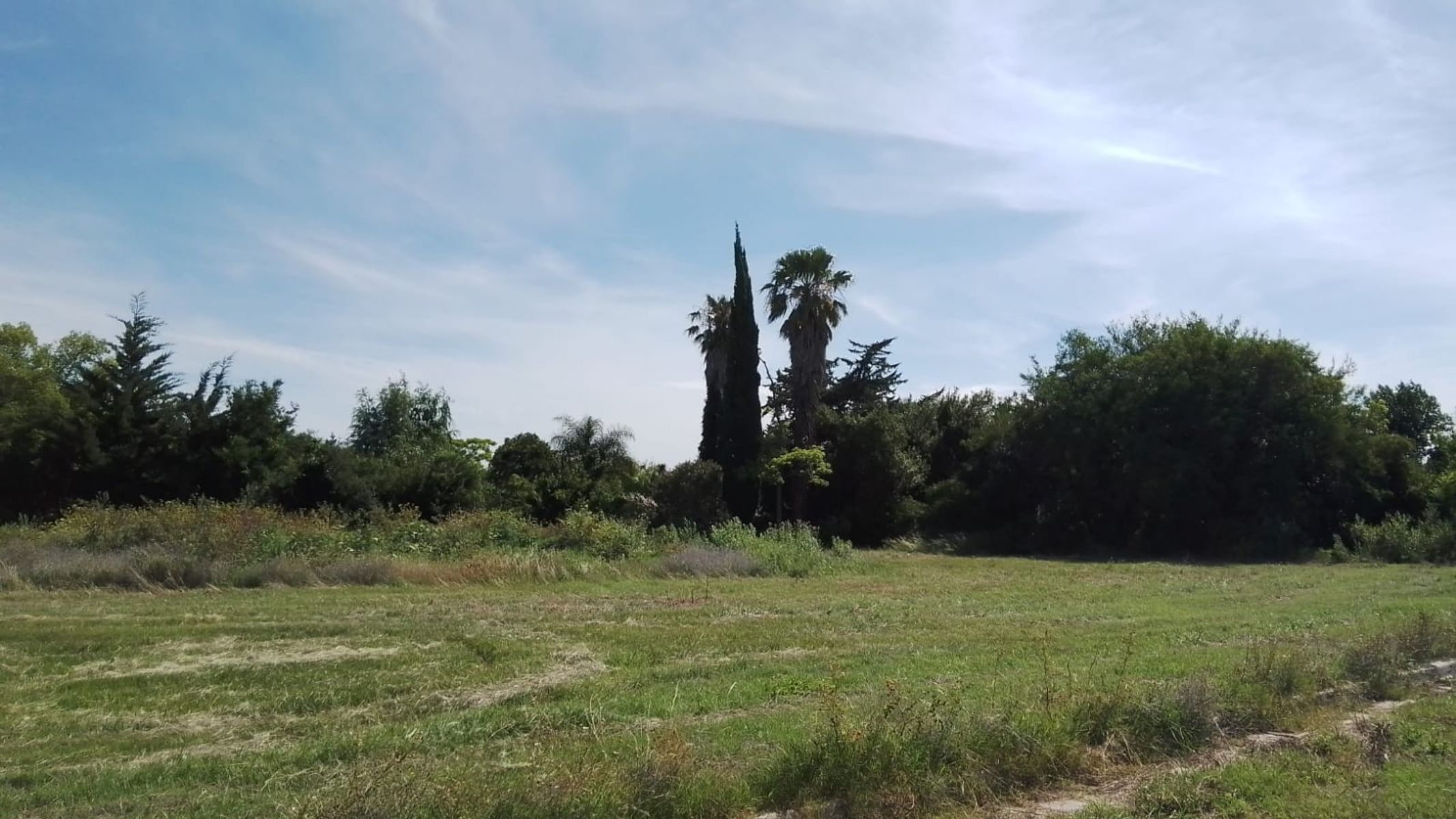 ROQUE PETROCHI 5320 · Pilar — foto 3