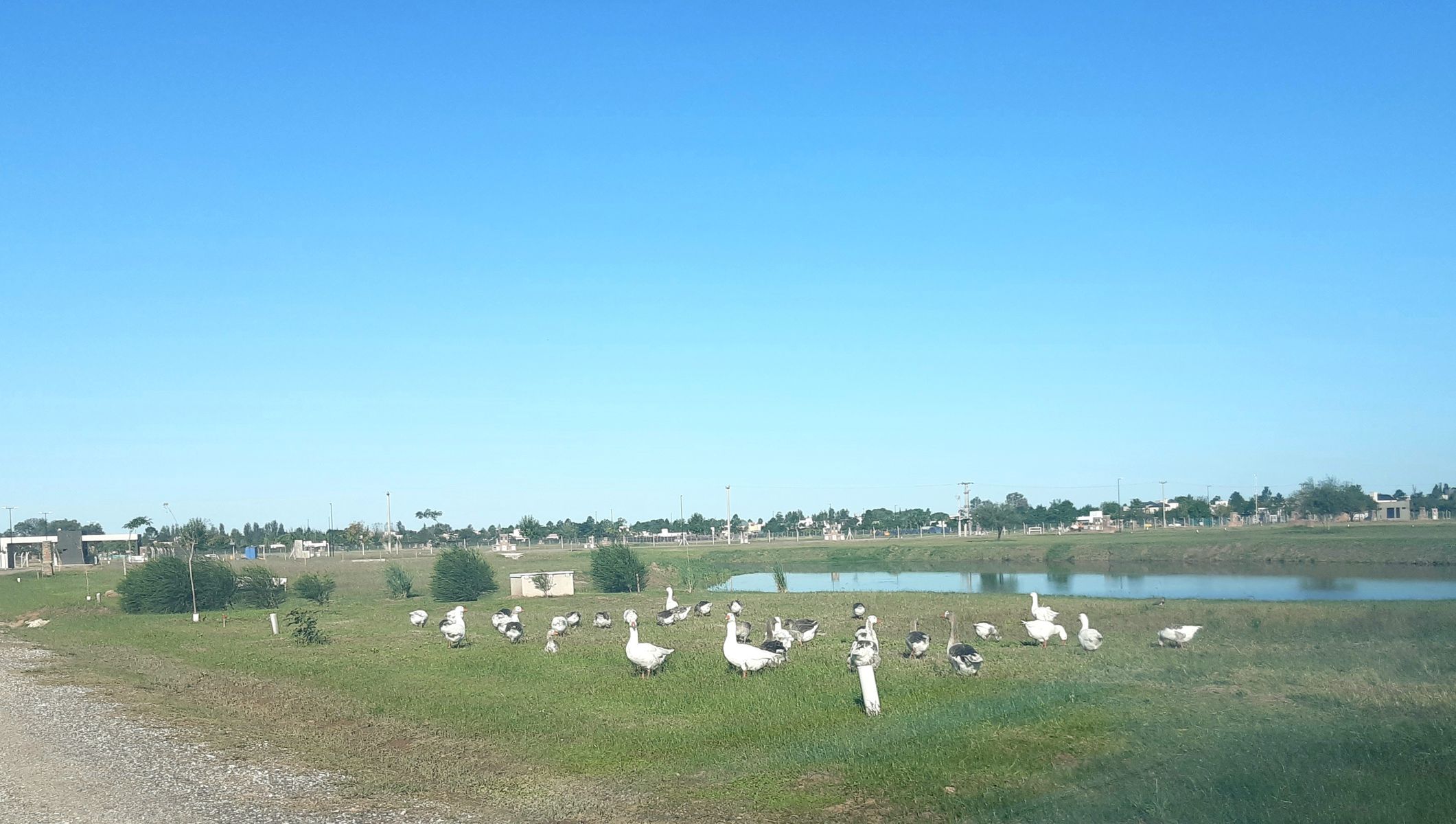 Nuevos Aires Country Club. Barrio 5. La Serena. Mz 1. Lote 14. Autopista Santa Fe/Rosario Km 5 · La Capital — foto 11