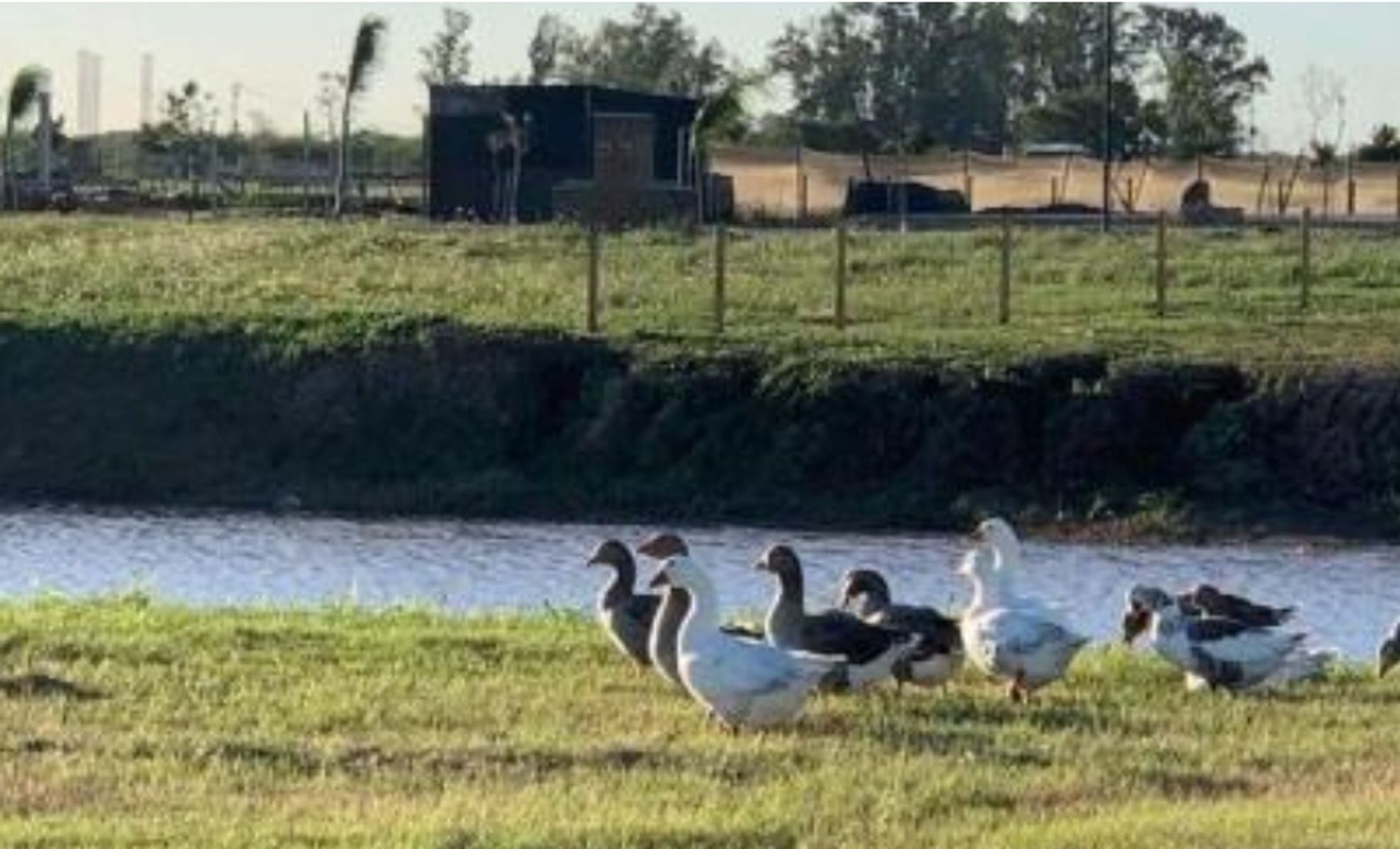 Nuevos Aires Country Club. Barrio 5. La Serena. Mz 1. Lote 14. Autopista Santa Fe/Rosario Km 5 · La Capital — foto 5
