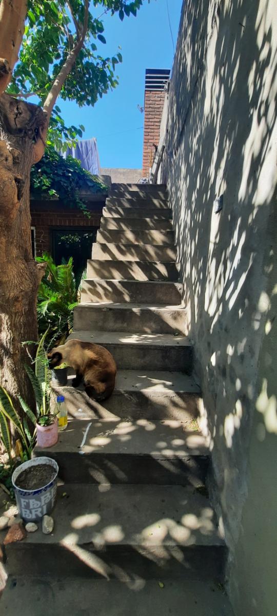 florio 3476 · La Matanza — foto 8