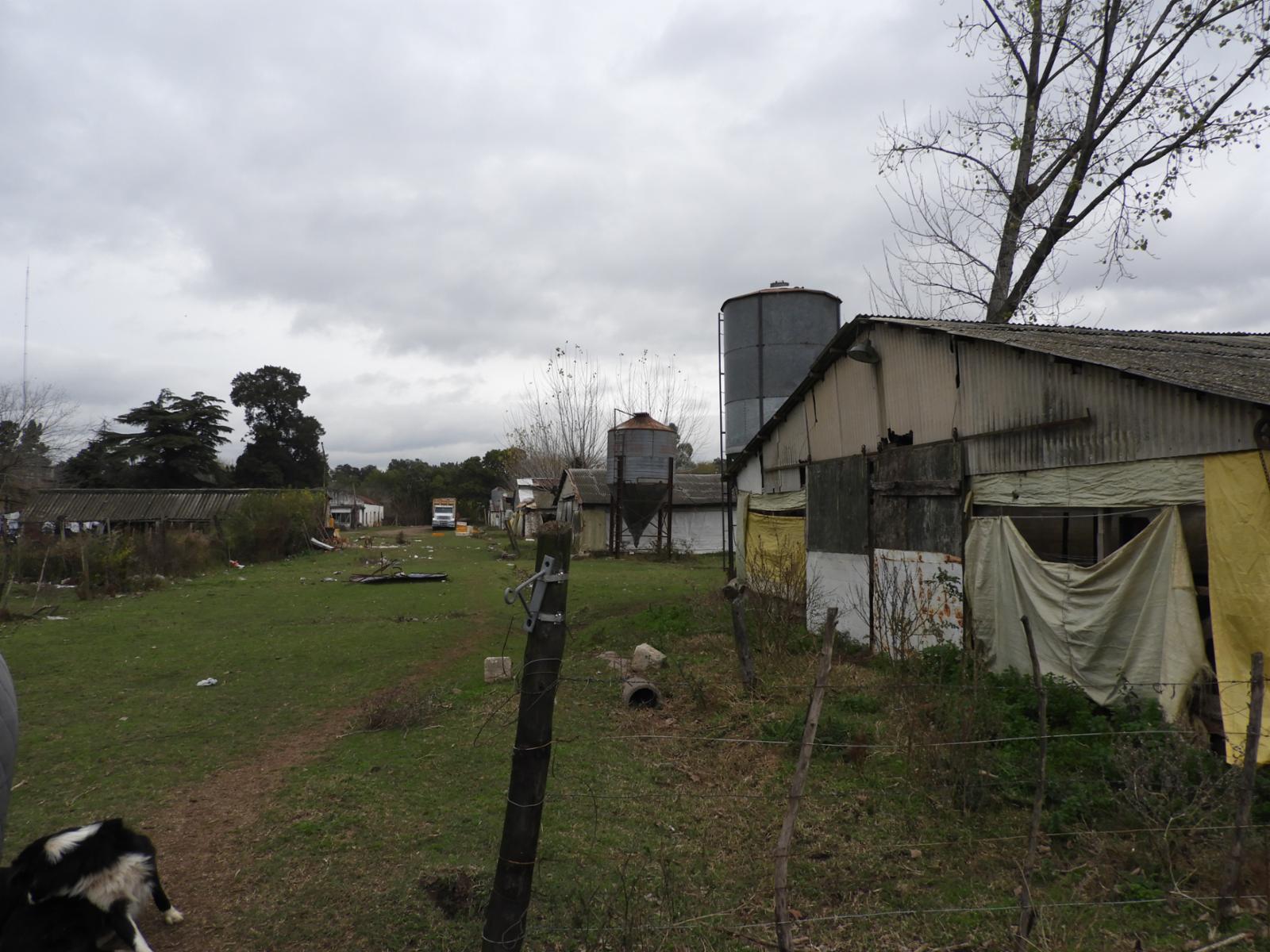 EXCELENTE QUINTA TIPO GRANJA DE SIETE HECTÁREAS EN BARRIO MALAVER PARTIDO DE MORENO PROVINCIA DE BUENOS AIRES
