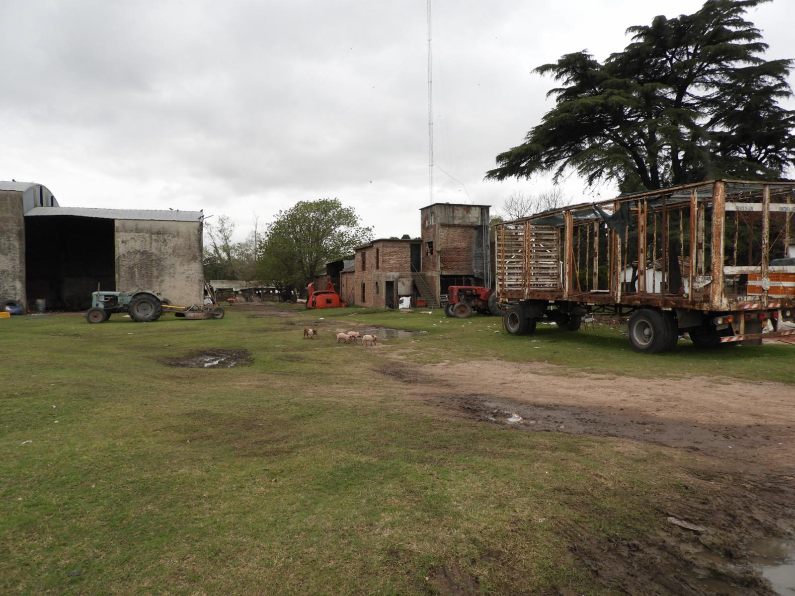 EVARISTO CARRIEGO 9002 · Moreno — foto 4
