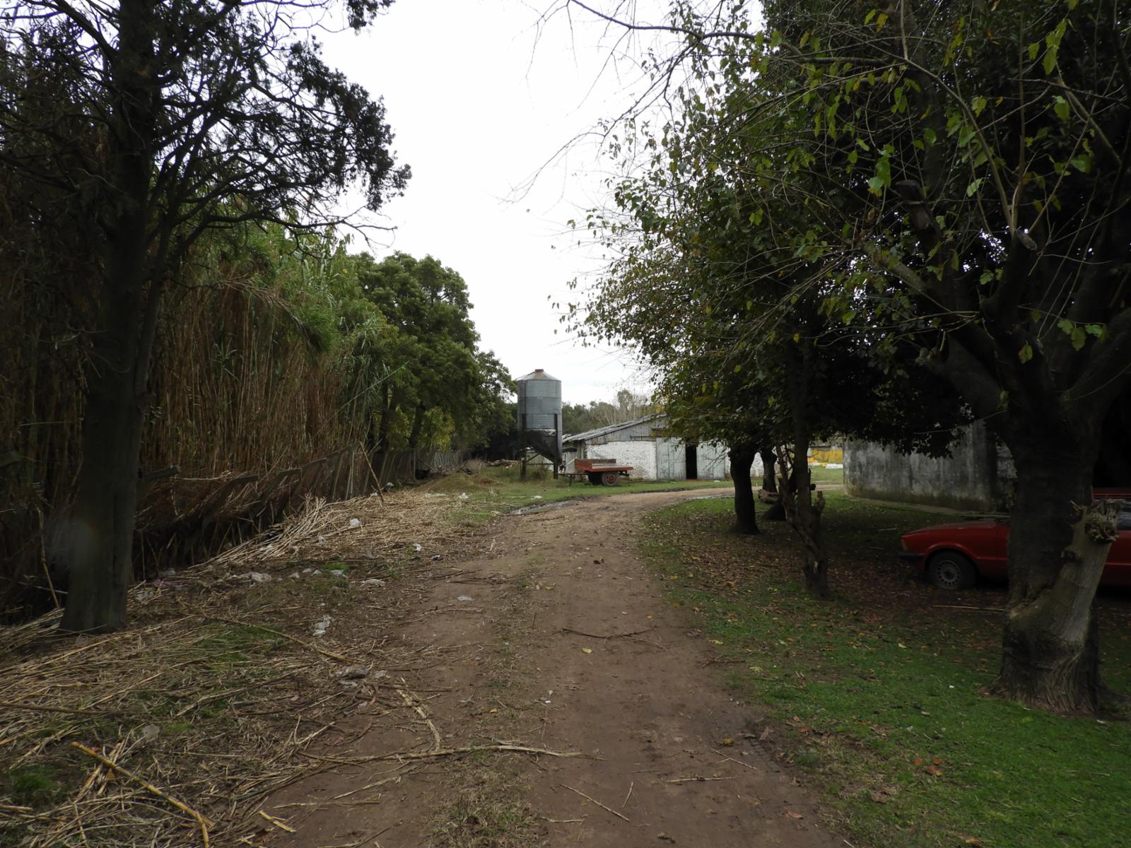 EVARISTO CARRIEGO 9002 · Moreno — foto 9