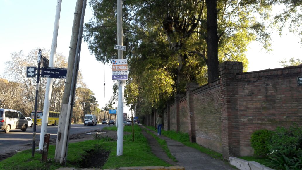 CASA IDEAL DESARROLLO- SOBRE 202 ESQUINA VELAZQUEZ