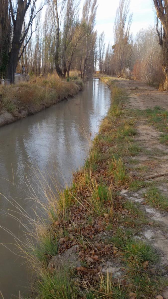 Ruta 7, entre Trelew y Gaiman · Rawson — foto 3