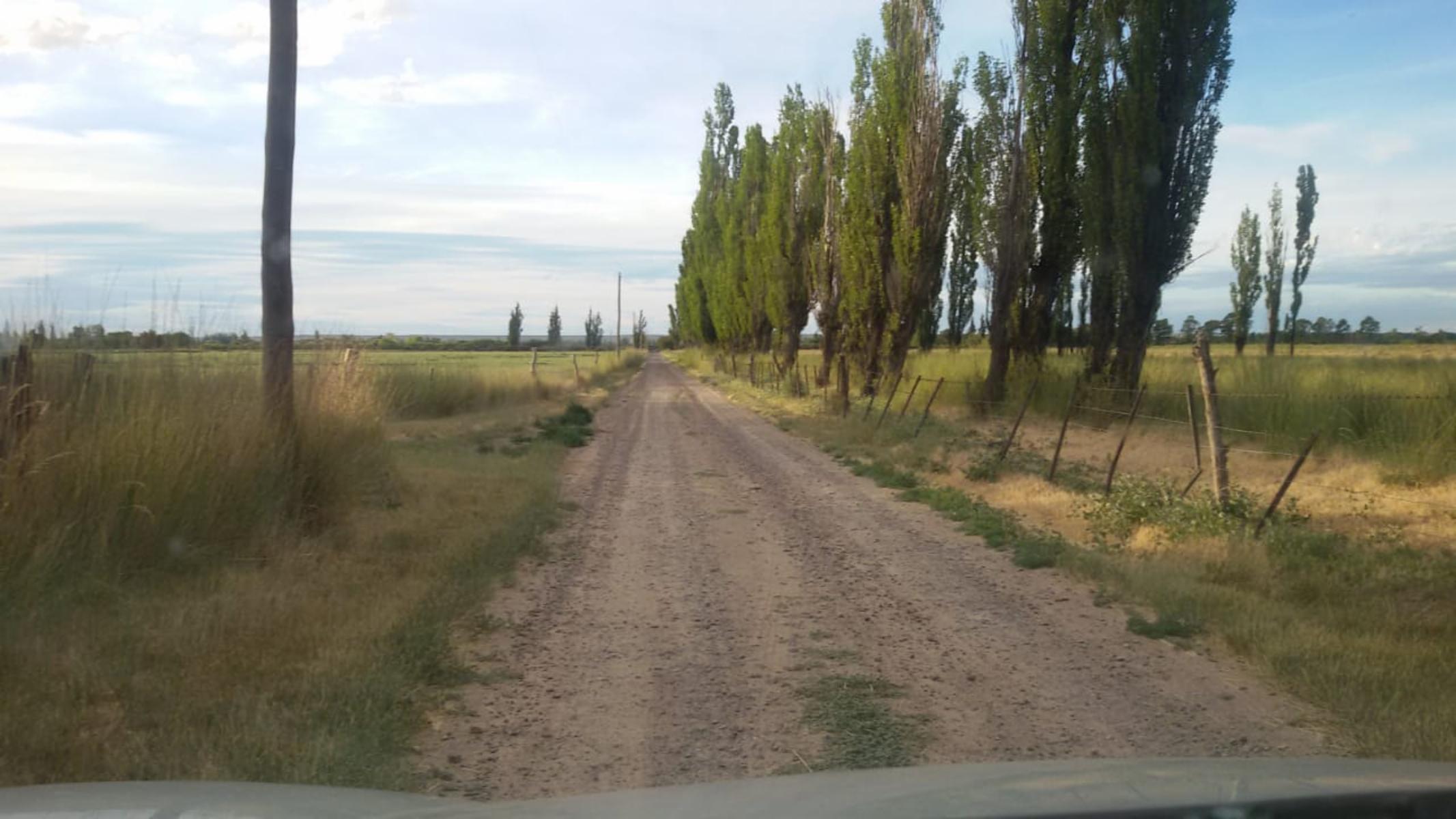 Ruta 7, entre Trelew y Gaiman · Rawson — foto 5