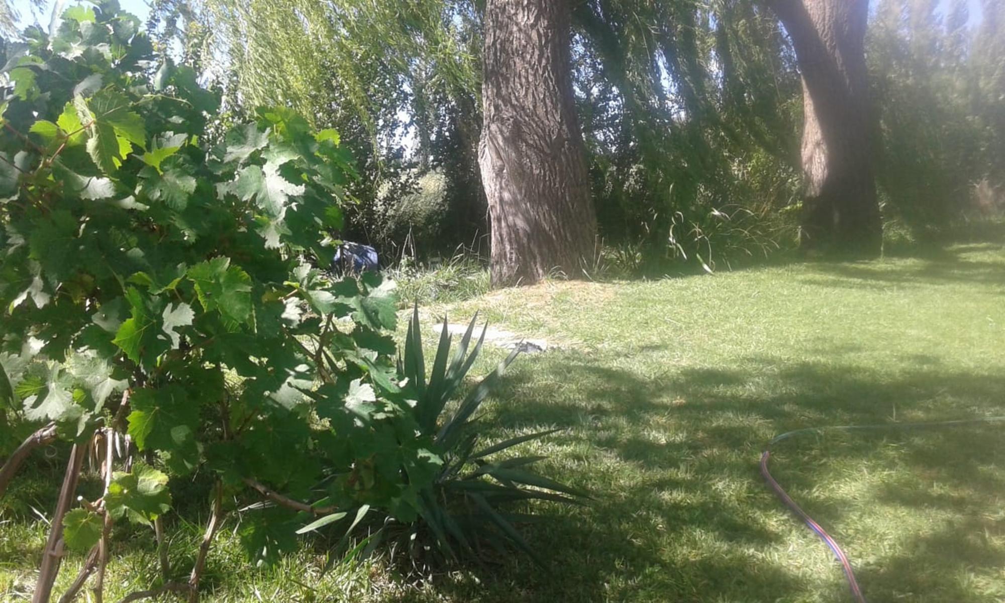 Ruta 7, entre Trelew y Gaiman · Rawson — foto 6