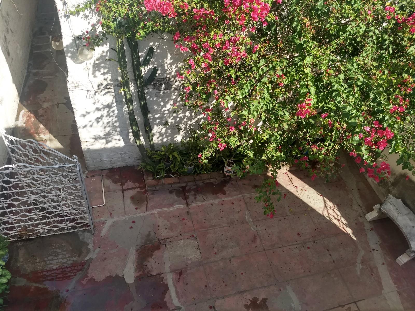 HELGUERA 365 · La Matanza — foto 37