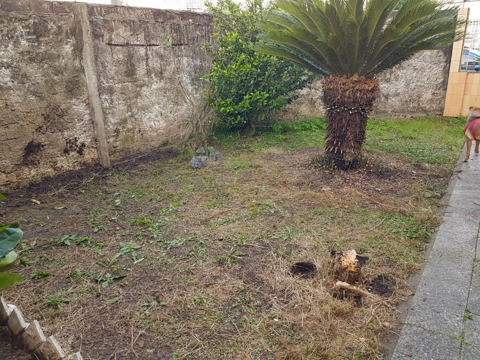 JOSE BIANCO 605 · Morón — foto 12
