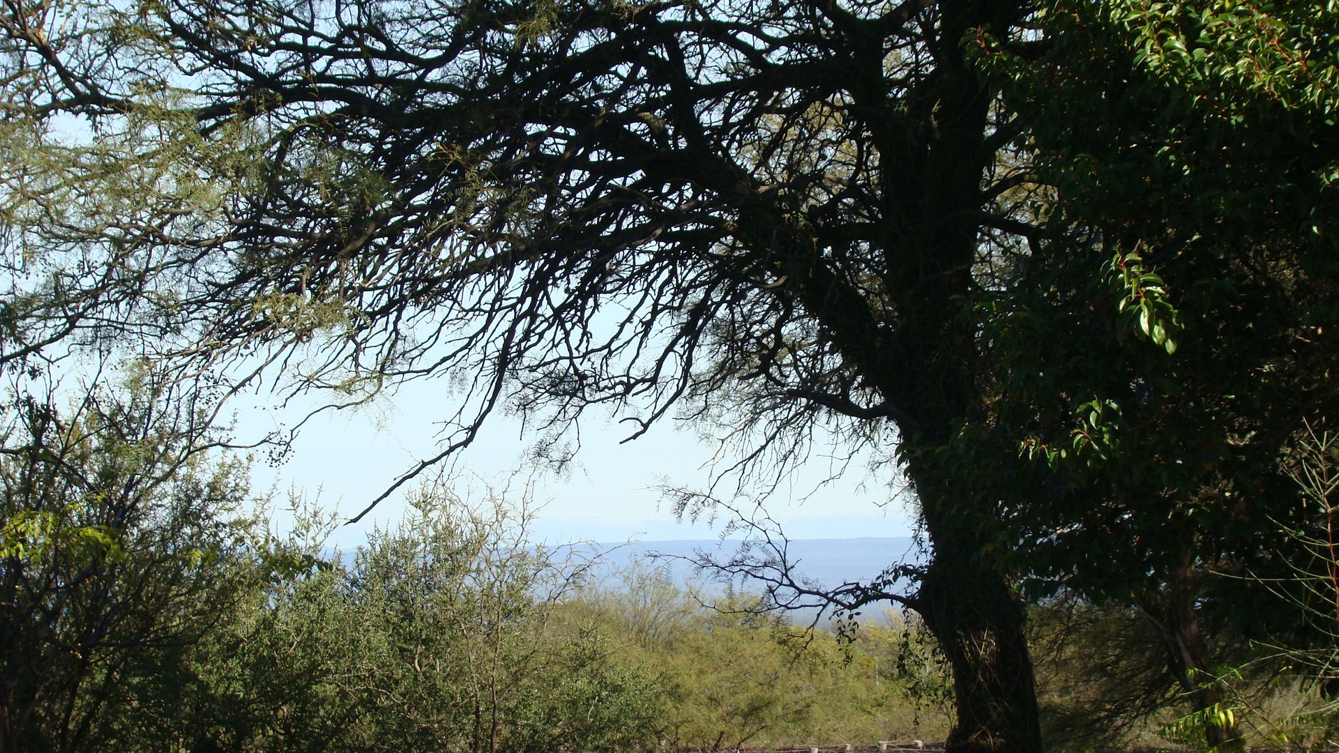 Luyaba · San Javier — foto 4
